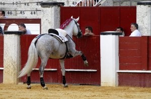 Un caballo llama a la puerta del patio del cuadrillas