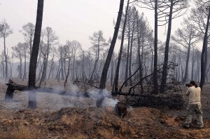 El incendio de León calcina 8.000 hectáreas de alto valor ecológico