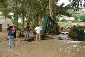 GUADALHORCE: La fuerza de la corriente, mezclada con barro y rocas, causó graves destrozos, entre ellos el de este puente de hierro en Álora. :: J.J. Buiza