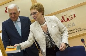 Martínez Aguayo y Herrero informan sobre el proyecto de ley. ::                             EFE