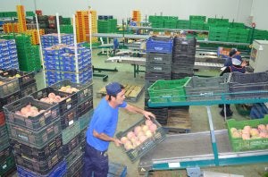 La firma la fundó hace veinte años Juan Antonio Reyes Gutiérrez en Vélez-Málaga y cuenta con una nave de 5.500 metros cuadrados. ::                             E. CABEZAS