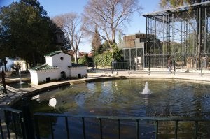 Vivían en la jaula situada junto al estanque de los patos. ::                             V. M.