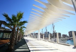 El Palmeral de las Sorpresas era uno de los lugares que ya se barajaban el pasado año como posible nuevo escenario de la feria. ::
ÁLVARO CABRERA