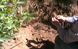 Un agente inspecciona los artefactos encontrados. ::
SUR