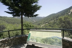 Los montes buscan su espacio