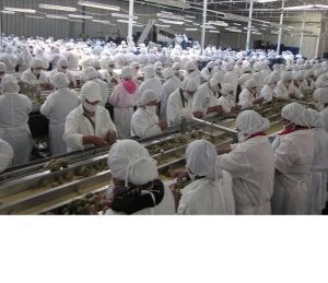 Sola de Antequera construye una nueva fábrica en Perú para doblar sus exportaciones a EE. UU.