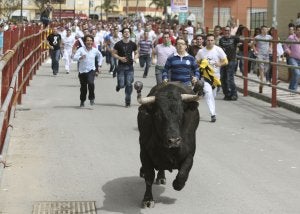 Los Barrios debatirá la declaración de Interés Turístico de Andalucía del 'Toro embolao'