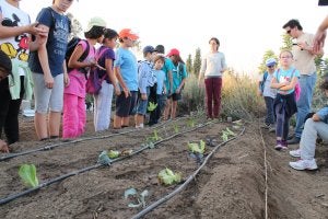 Crea Huertas en uno de los talleres impartidos a escolares ::
SUR