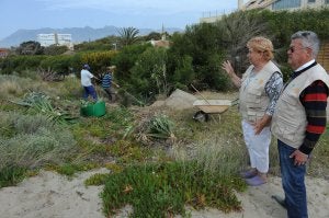 Susanne Stamm y Fernando Piquer, miembros del colectivo, durante los trabajos de limpieza que se están realizando en la duna El Arenal. ::
JOSELE-LANZA