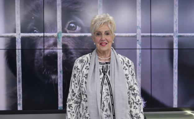 Itziar Mintegui: «Salvamos animales, pero ellos también nos salvan a nosotros»