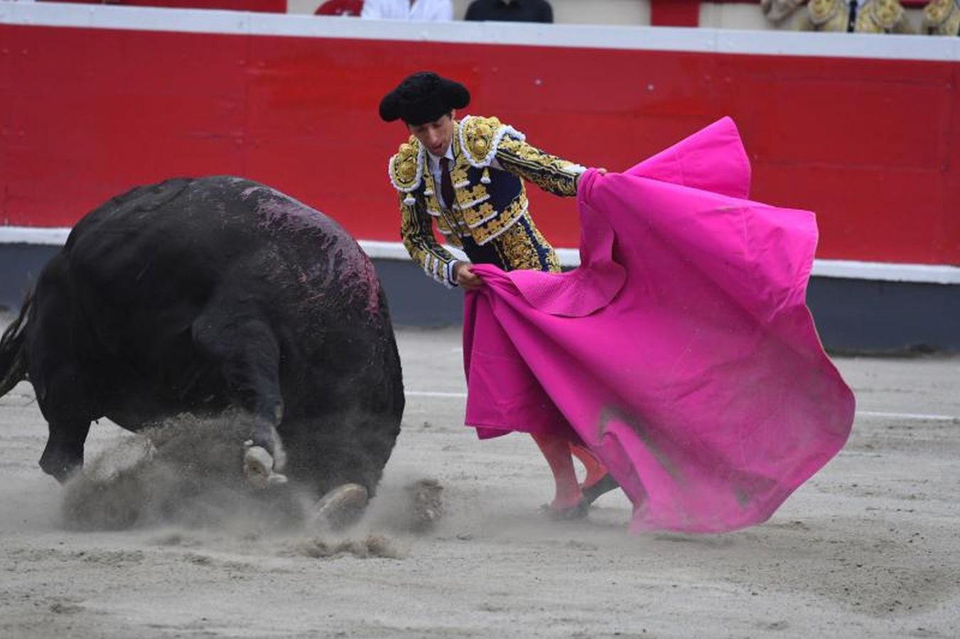 Oreja para &#039;Paulita&#039; en la última corrida de Azpeitia