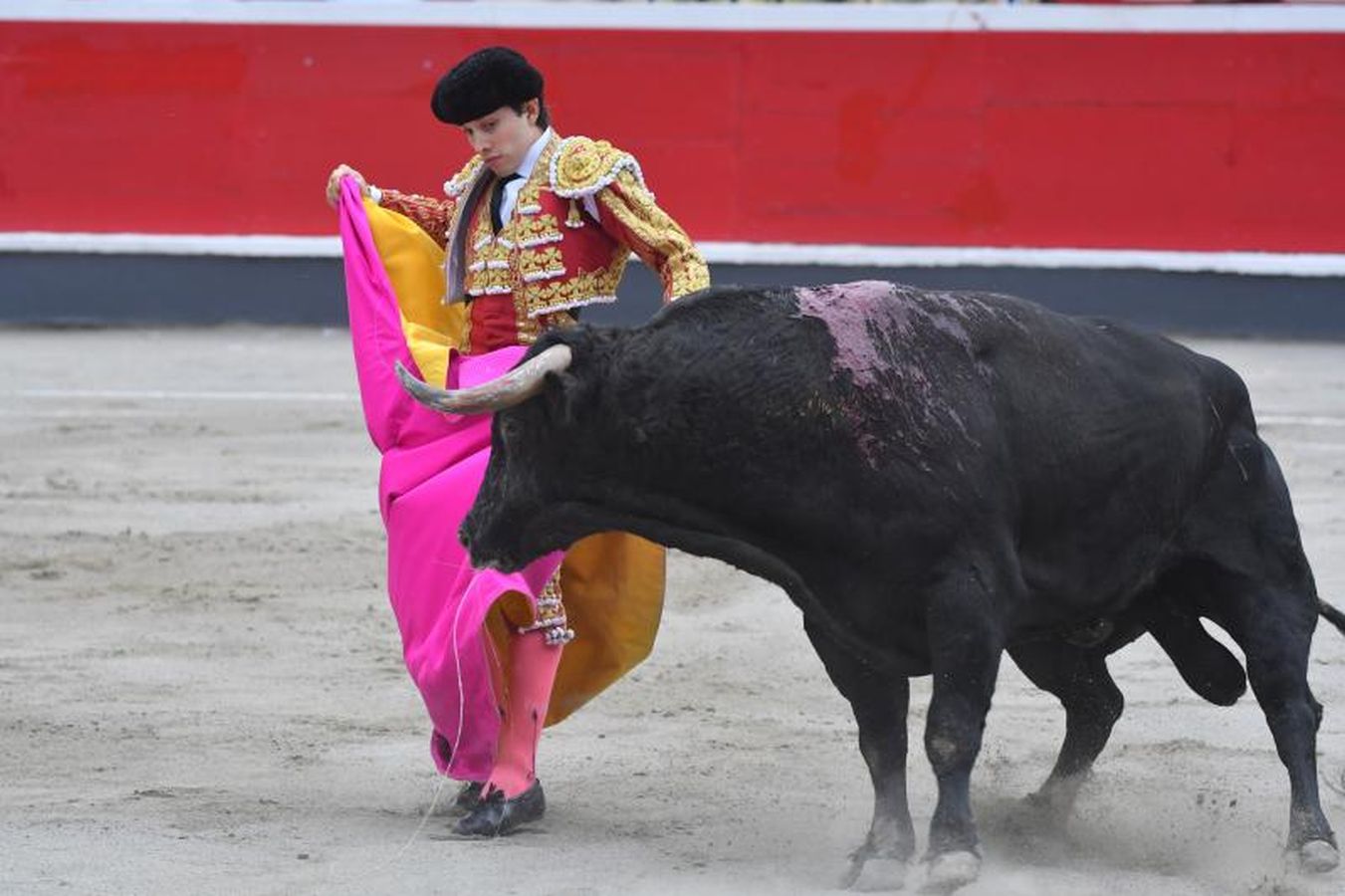 Oreja para &#039;Paulita&#039; en la última corrida de Azpeitia