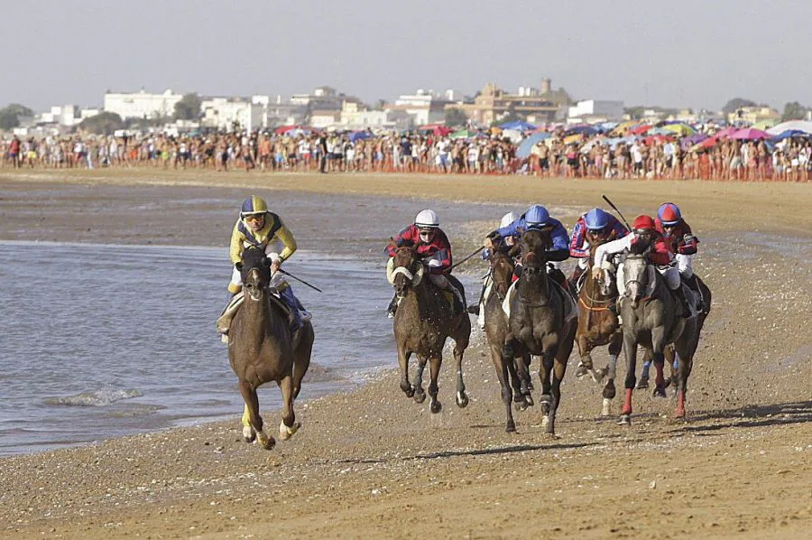 Se ha celebrado la 172 edición de las Carreras de Caballos de Sanlúcar de Barrameda. Cientos de personas se acercaron a admirar el acto, declarado de Interés Turístico Internacional, llenando la playa y los palcos. 