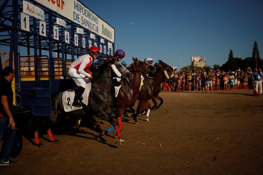 Se ha celebrado la 172 edición de las Carreras de Caballos de Sanlúcar de Barrameda. Cientos de personas se acercaron a admirar el acto, declarado de Interés Turístico Internacional, llenando la playa y los palcos. 