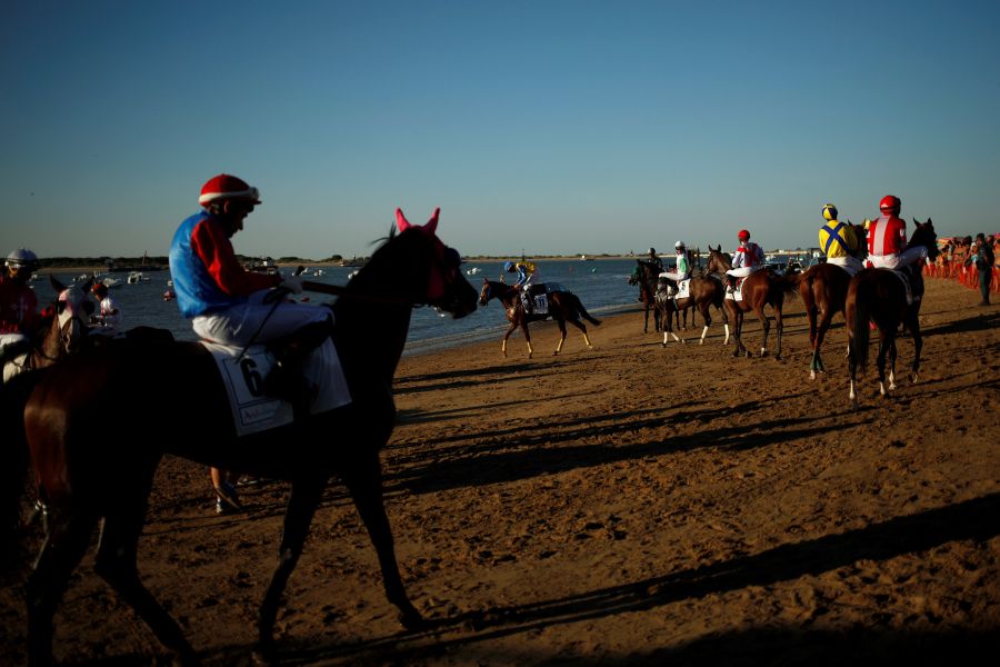 Se ha celebrado la 172 edición de las Carreras de Caballos de Sanlúcar de Barrameda. Cientos de personas se acercaron a admirar el acto, declarado de Interés Turístico Internacional, llenando la playa y los palcos. 