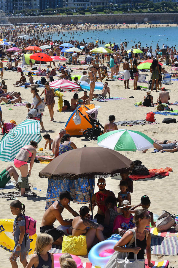 El fuerte calor ha hecho que las playas guipuzcoanas presenten este lunes una masiva alfuencia de gente. En las imágenes, San Sebastián y Zarautz.