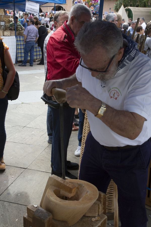 La edición de este año del Artzain eguna de Legazpi ha sido la más multitudinaria ya que ha contado con más de 400 pastores y familiares de la asociación Euskal Ar-tzainak Ameriketan (dentro de la que se aglutinan aquellos vascos que tuvieron que emigrar a América para desempeñar el oficio).