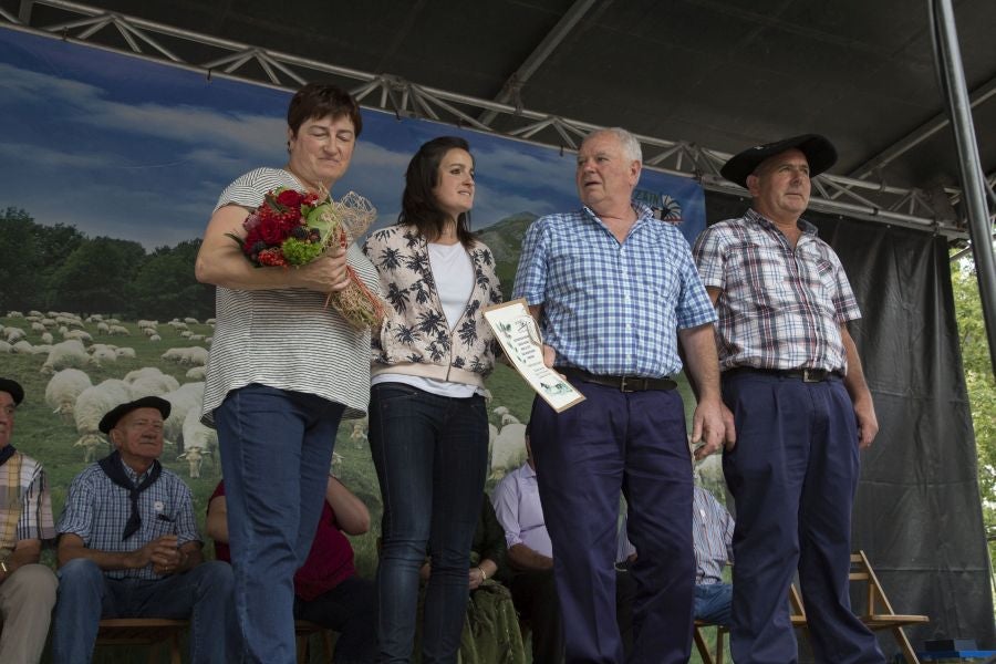 La edición de este año del Artzain eguna de Legazpi ha sido la más multitudinaria ya que ha contado con más de 400 pastores y familiares de la asociación Euskal Ar-tzainak Ameriketan (dentro de la que se aglutinan aquellos vascos que tuvieron que emigrar a América para desempeñar el oficio).