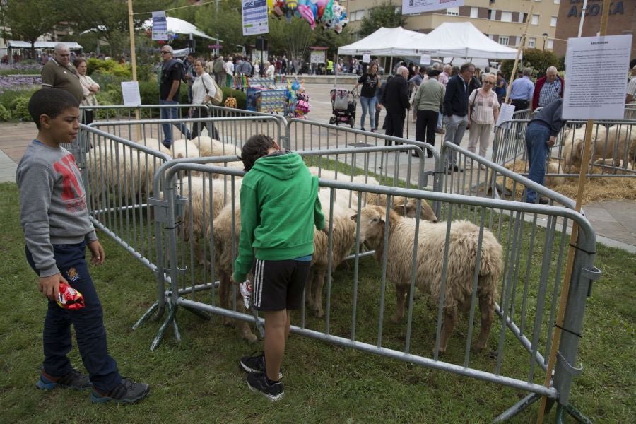 La edición de este año del Artzain eguna de Legazpi ha sido la más multitudinaria ya que ha contado con más de 400 pastores y familiares de la asociación Euskal Ar-tzainak Ameriketan (dentro de la que se aglutinan aquellos vascos que tuvieron que emigrar a América para desempeñar el oficio).