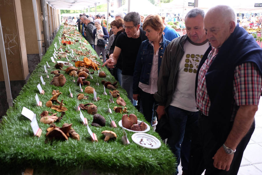 El Concurso de Queso de Pastor es el evento principal de la Feria extraordinaria. 