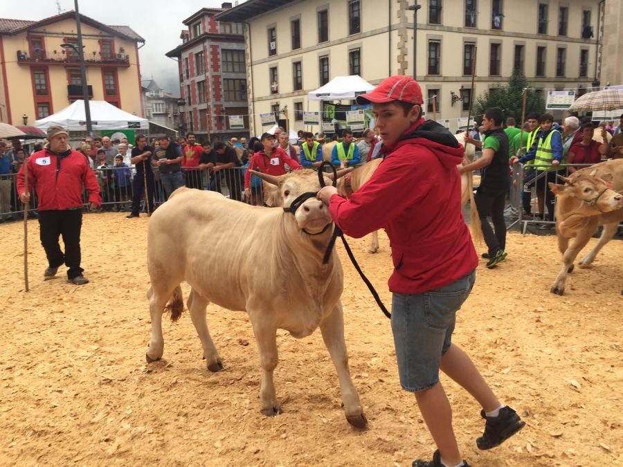 El Concurso de Queso de Pastor es el evento principal de la Feria extraordinaria. 