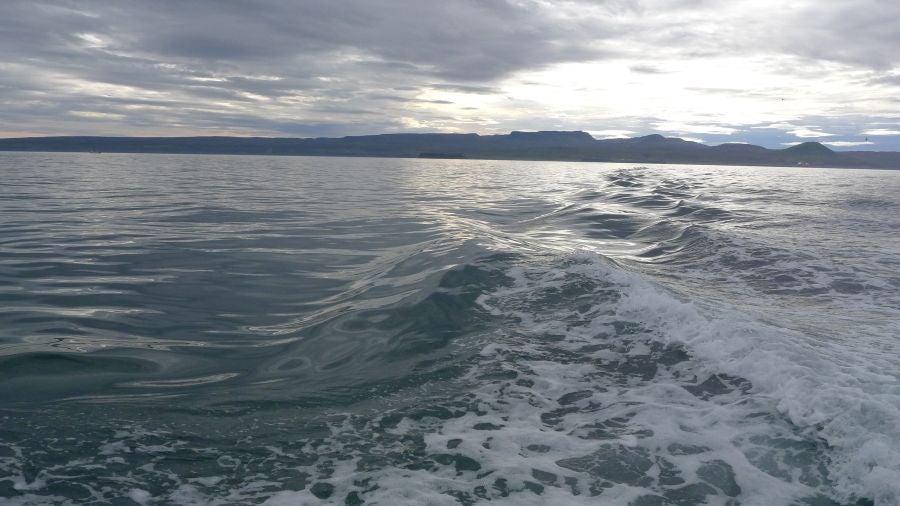 Húsavíck es una ciudad marinera al norte de Islandia y es conocida por ser el centro de avistamiento de ballenas.