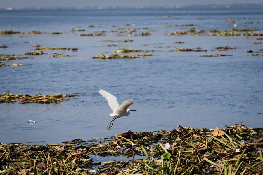 En Manila, Filipinas, se celebra, cada tercer sábado de septiembre, el Día Internacional de la limpieza de las costas. En esta ocasión más de 100 países de todo el mundo se han unido a la celebración y limpian las costas bajo el lema 'El poder unido de las personas puede luchar contra la basura del océano'. 