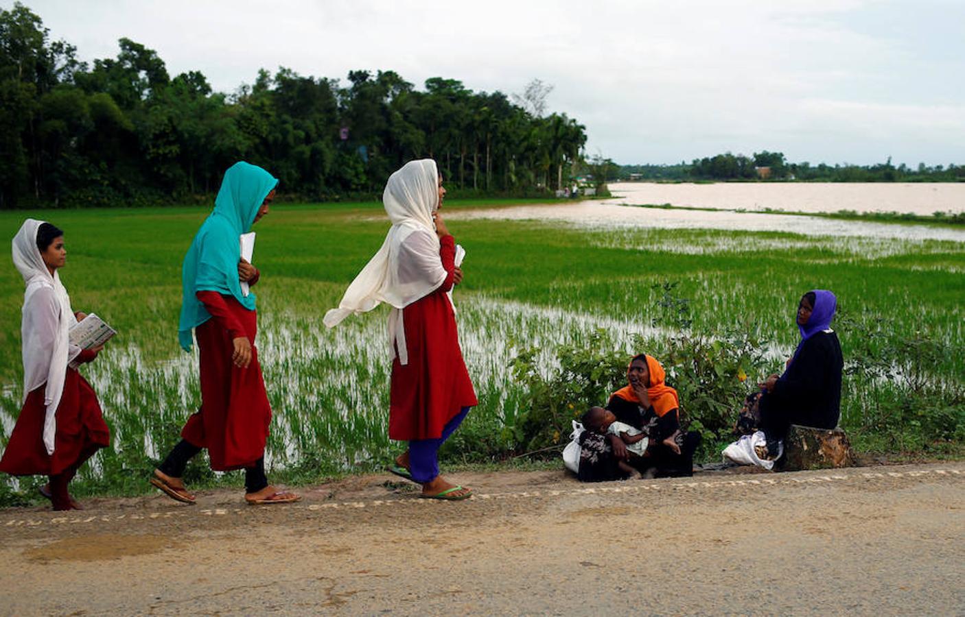 Más de 420.000 refugiados han llegado a Bangladés huyendo de la persecución por parte del ejércido de Myanmar sumergidos en el hambre, las enfermedades y la violencia. Son los rohinyá, una minoria musulmana que pertenece a un país de mayoria budista. La mayor parte de los refugiados son niños que llegan desacompañados y mujeres.