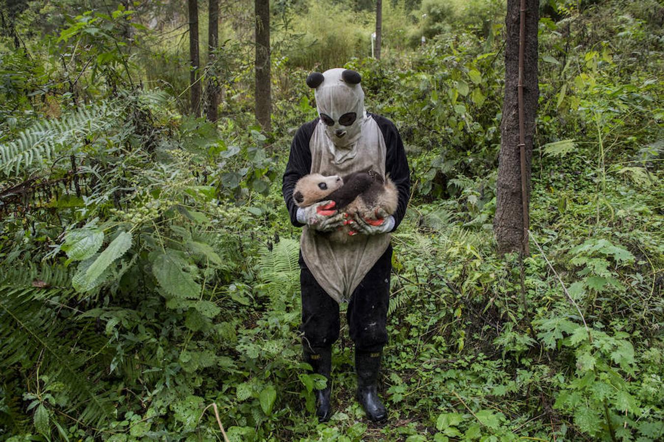 La exposición del concurso anual de fotoperiodismo más importante del mundo, entre el 29 de septiembre y el 1 de noviembre en Madrid