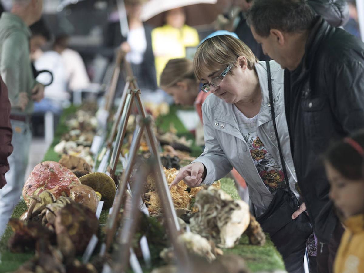 'Perretxiko Jaia´ cierra hoy las XIX Jornadas de Micología y Gastronomía organizadas por el Club Deportivo de Loiola. Esta fiesta donde reinan las setas se ha celebrado de 10:30 a 14:30 horas en la plaza de las Lavanderas, y a pesar de la lluvia han sido muchos los que se han acercado al barrio. 