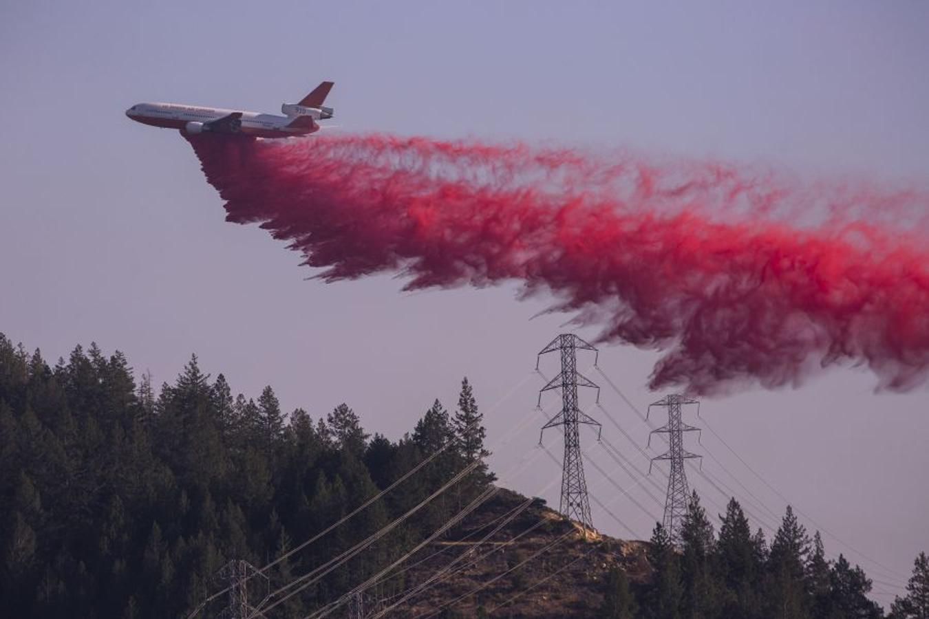 Al menos 40 personas han muerto, muchas siguen desparecidas y alrededor de 5.700 edificios han sido destruidos desde que hace una semana los incendios comenzasen a arrasar California. 