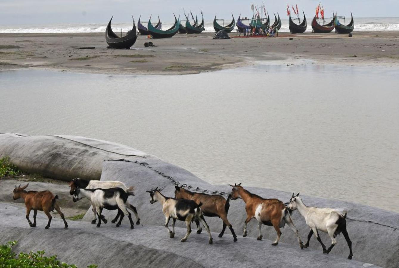 Casi medio millón de personas de esta etnia musulmana han huido de Birmania a Bangladesh. Escapan de la violencia y la represión a la que les someten las fuerzas del estado birmano, a raíz de un ataque perpetrado por un grupo insurgente el 25 de agosto. Tras cruzar la frontera, se alojan en campos de refugiados; más de 600.000 son niños