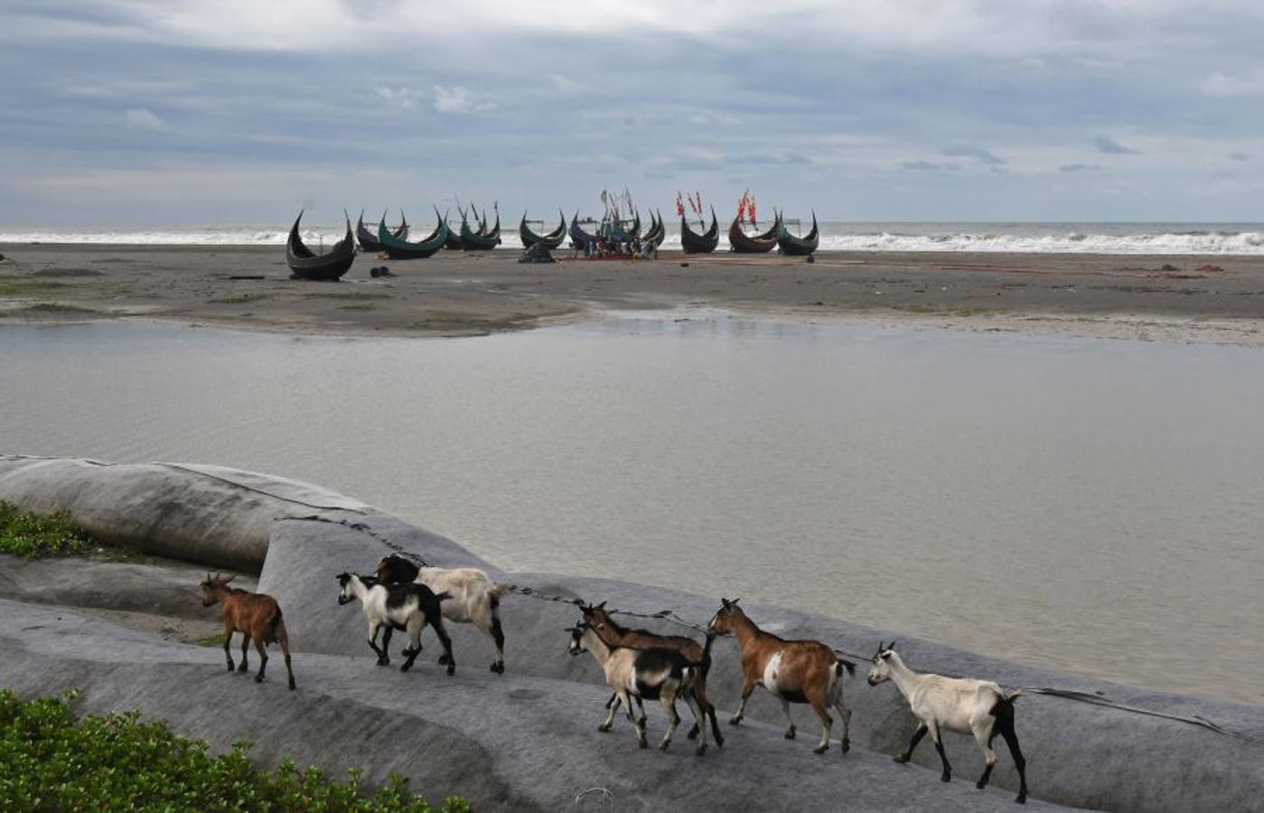 Casi medio millón de personas de esta etnia musulmana han huido de Birmania a Bangladesh. Escapan de la violencia y la represión a la que les someten las fuerzas del estado birmano, a raíz de un ataque perpetrado por un grupo insurgente el 25 de agosto. Tras cruzar la frontera, se alojan en campos de refugiados; más de 600.000 son niños