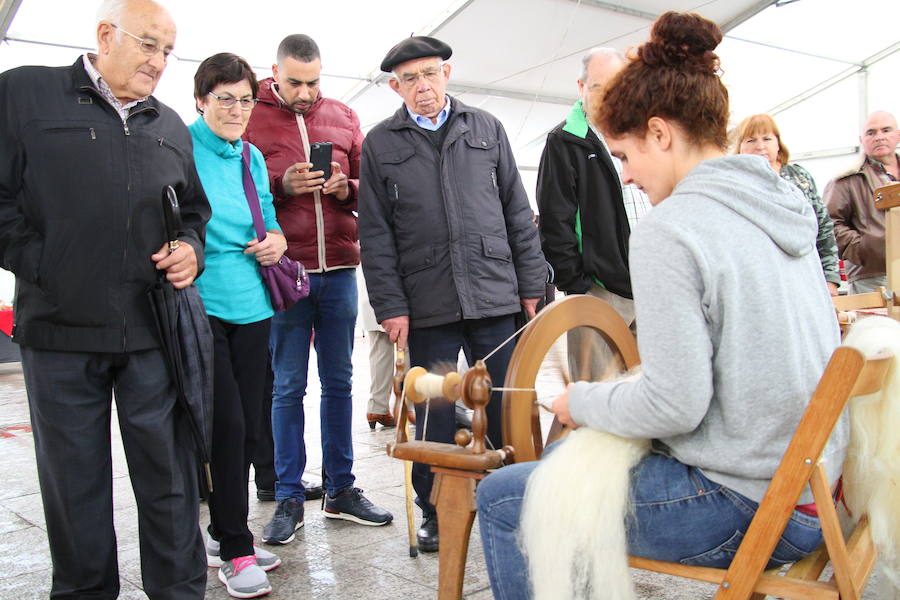 Concluye la II Semana del Queso de Eibar que ha permitido conocer mejor el pastoreo y los productos que elaboran