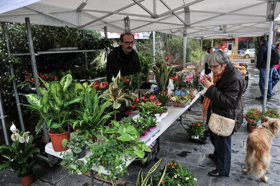 Queso, pan, miel, frutas y verduras son algunos de los productos que se pueden adquirir en el mercado de productos locales que se instala en la plaza Gaskuña el último sábado de cada mes