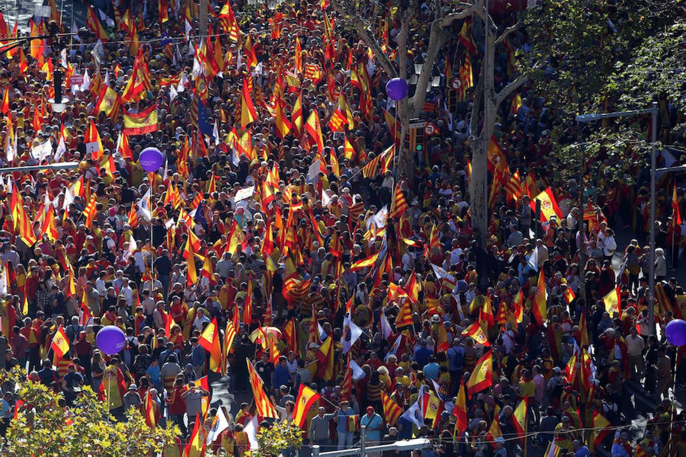 La marcha convocada por Societat Civil Catalana bajo el lema 'Tots som Catalunya. Per la convivència, seny!