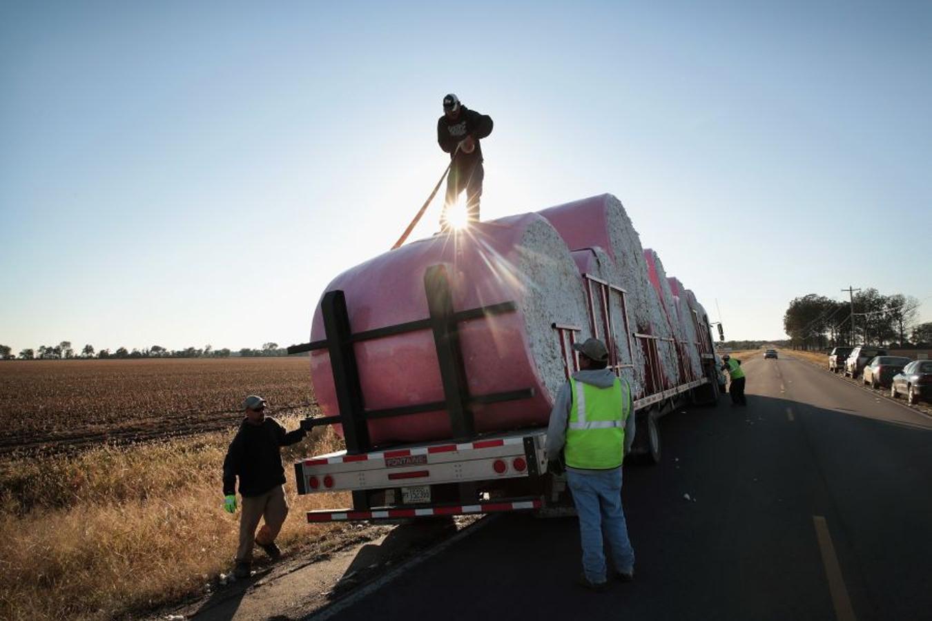 A pesar de los daños sufridos en la cosecha de algodón en EEUU debido al huracán Harvey, se espera que la producción de algodón exceda los niveles del año pasado