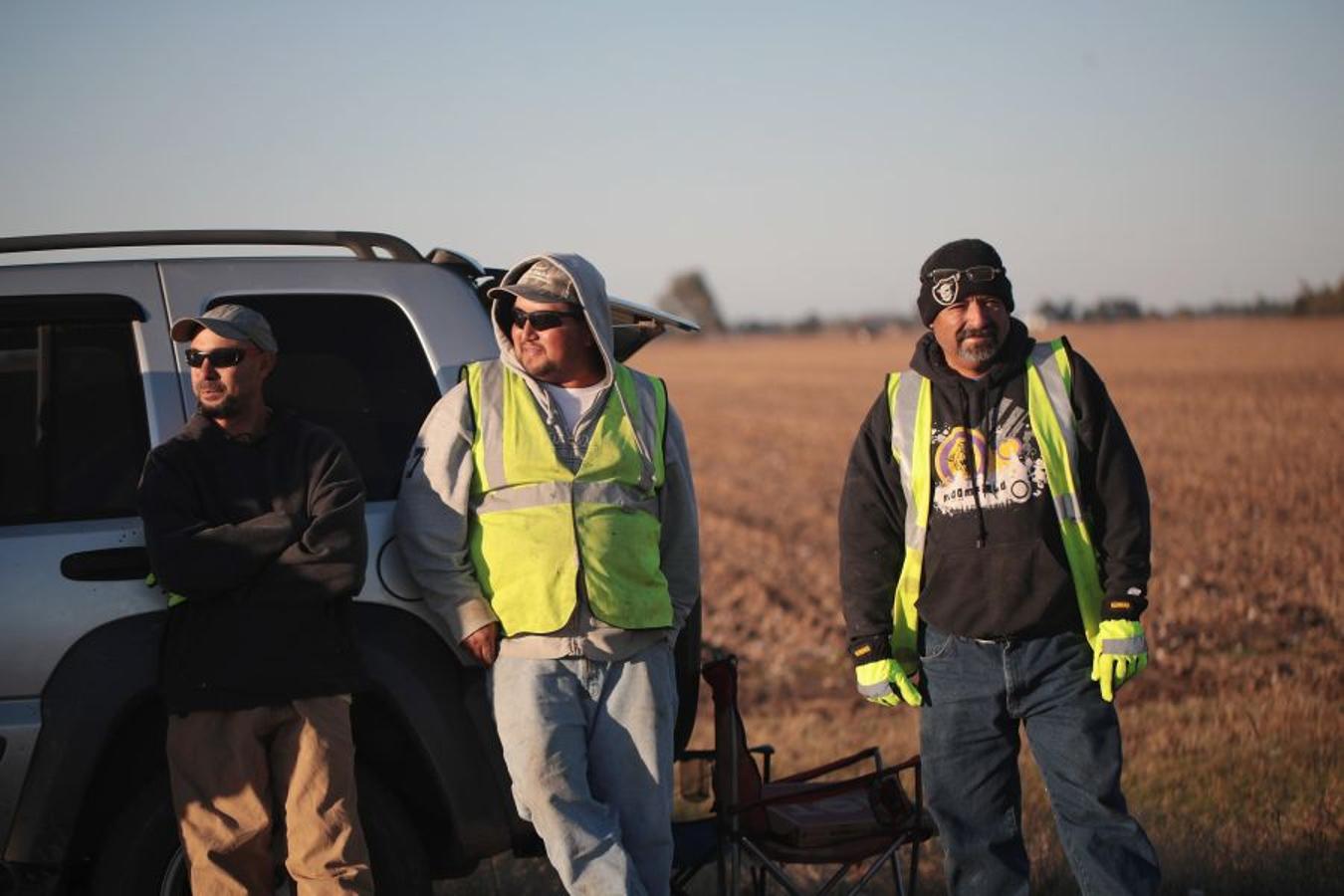 A pesar de los daños sufridos en la cosecha de algodón en EEUU debido al huracán Harvey, se espera que la producción de algodón exceda los niveles del año pasado