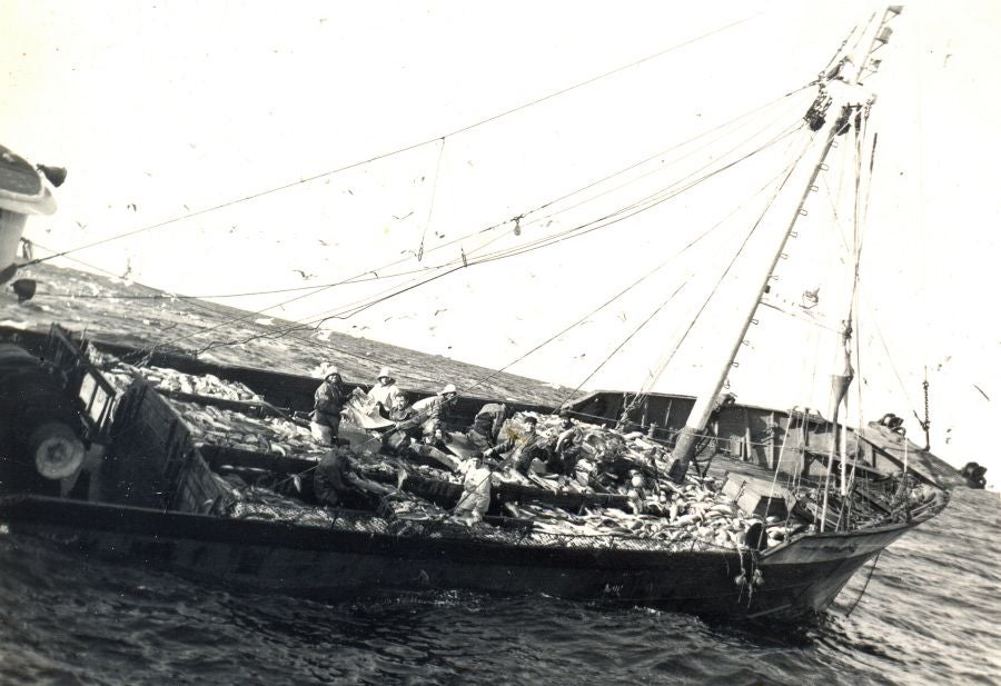 El documental 'Arte al agua' intercala los testimonios de los pescadores vascos y gallegos con imágenes inéditas de la pesca en Terranova pertenecientes a archivos de particulares