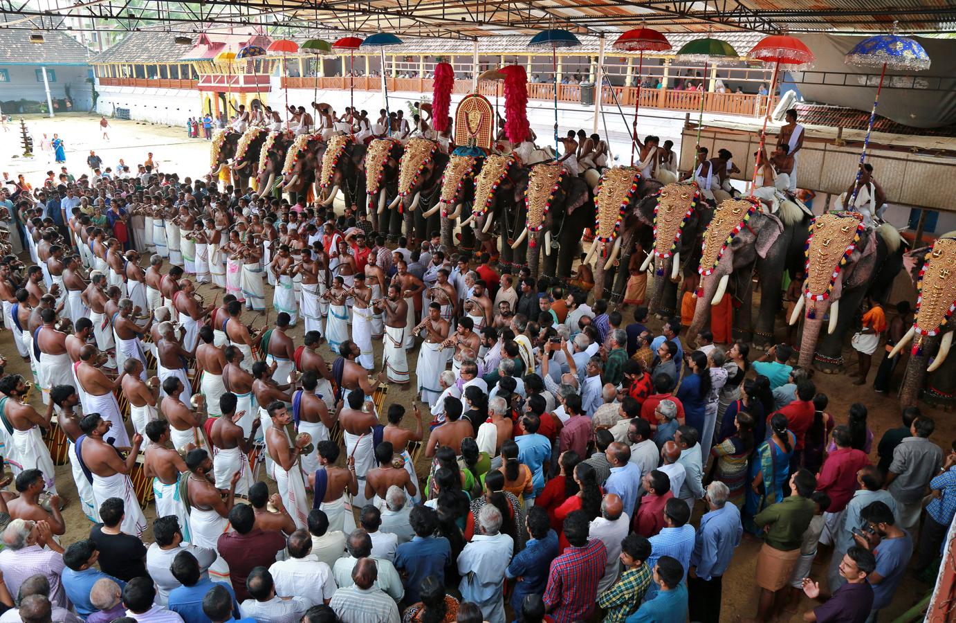El festival anual Vrischikolasavam ya ha comenzado en el Templo Sree Poornathrayeesa de Kochi, India. Esta festividad dura ocho días y presenta una colorida procesión de elefantes decorados junto al sonido de tambores.