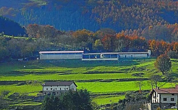 Exterior de la explotación ganadera en la que murieron las 45 cabezas.