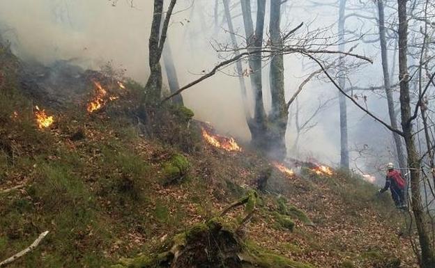 Activado el aviso amarillo por riesgo de incendios forestales 