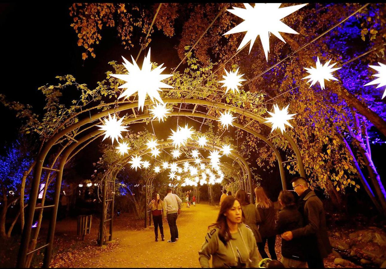 La exhibición 'Encantado: Bosque de luz' ilumina la ciudad americana. Un espectáculo interactivo a través de una experiencia única. 