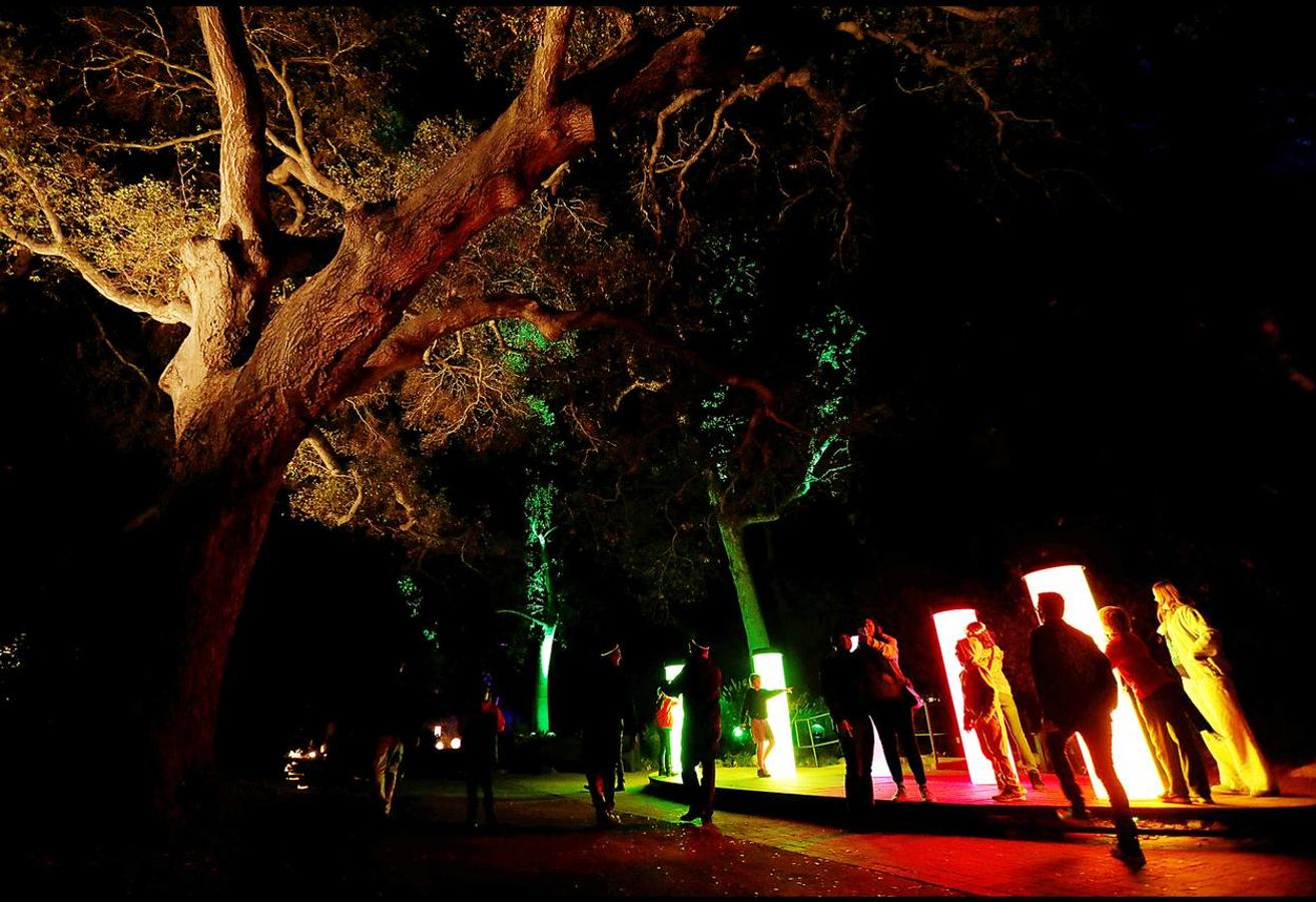 La exhibición 'Encantado: Bosque de luz' ilumina la ciudad americana. Un espectáculo interactivo a través de una experiencia única. 