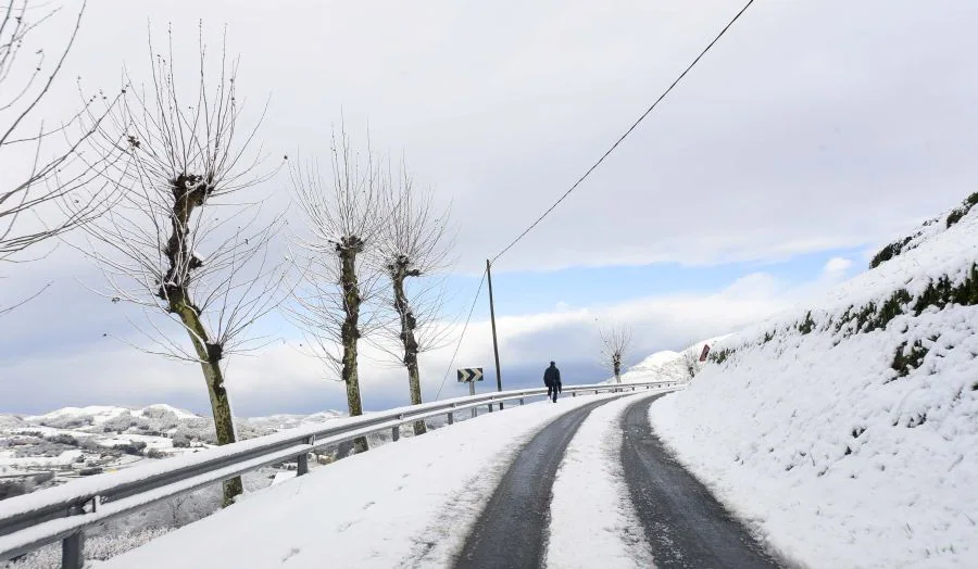 La primera nevada ha dejado estampas únicas en el territorio