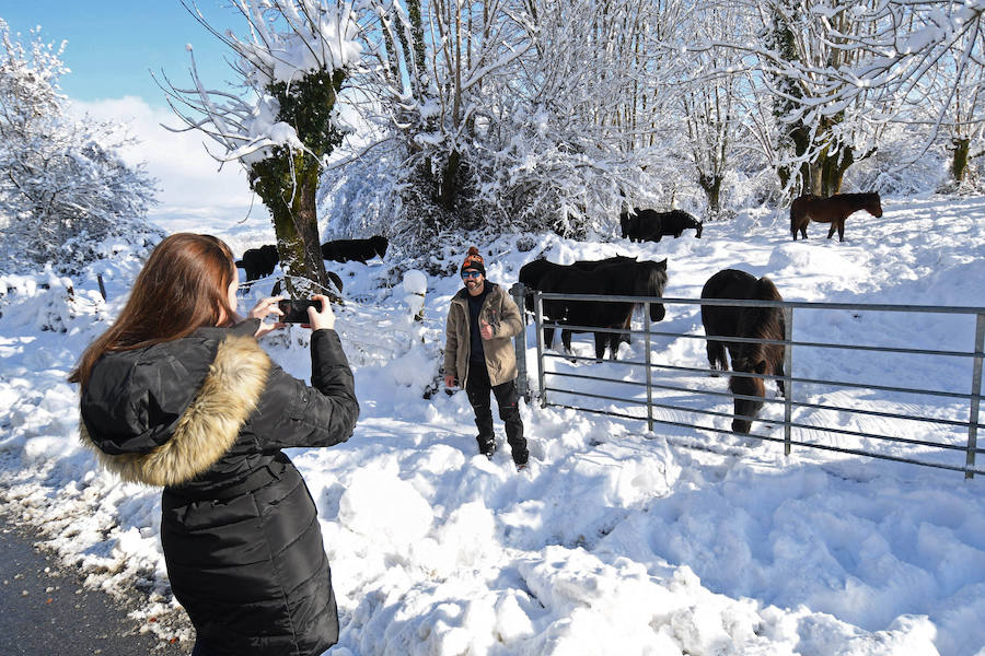 La nieve ha dejado este domingo bellas estampas invernales y familiares en la zona de Aralar, Baraibar y Lekunberri.