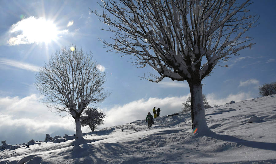 La nieve ha dejado este domingo bellas estampas invernales y familiares en la zona de Aralar, Baraibar y Lekunberri.