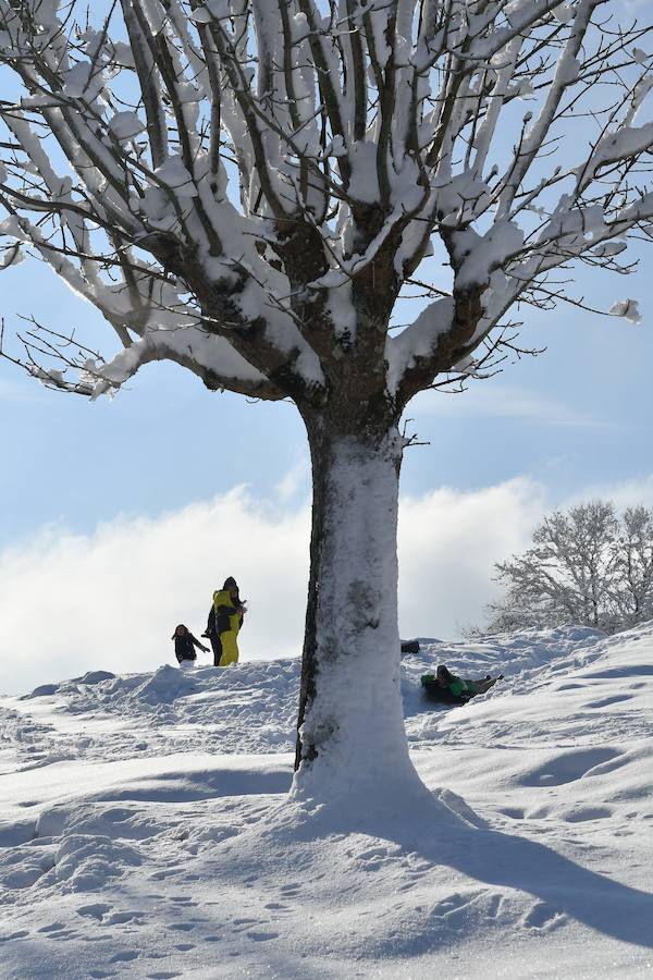 La nieve ha dejado este domingo bellas estampas invernales y familiares en la zona de Aralar, Baraibar y Lekunberri.