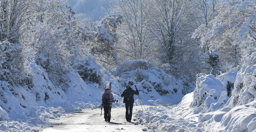 La nieve ha dejado este domingo bellas estampas invernales y familiares en la zona de Aralar, Baraibar y Lekunberri.