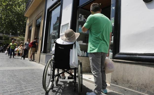 El Gobierno Vasco considera que la protección a las discapacitadas no solo compete a las instituciones
